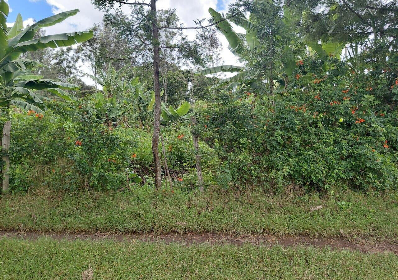 Pet Friendly 1/4 Acre in Oloolua