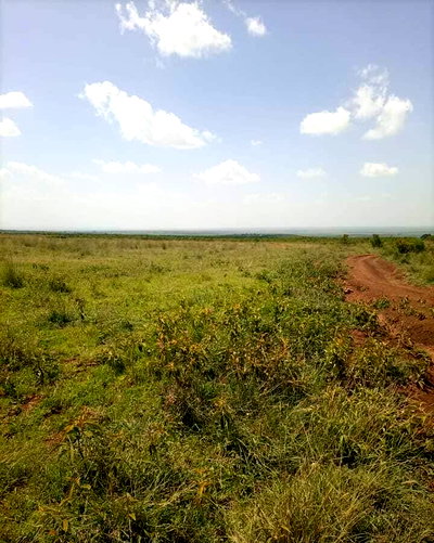 160-Acre Farm in Nyandarua for KSh 120M