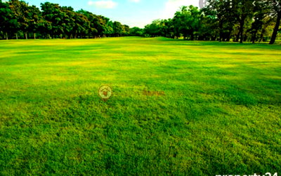 1.2-Acre Muthaiga Gem for KSh 280M