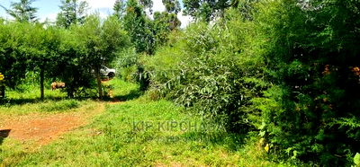2 Plots For Sale In Kamagut Eldoret - Image 13