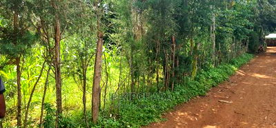 2 Plots For Sale In Kamagut Eldoret - Image 12