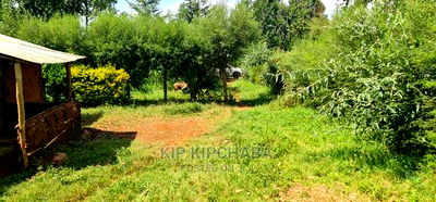 2 Plots For Sale In Kamagut Eldoret - Image 6