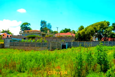 Nyeri Bliss - Image 4