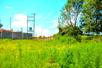 Nyeri Bliss - Image 3