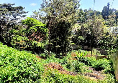 1/2 Acre Garden Plot at KSh 35M
