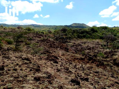 Scenic 11 Acres Ewuaso Kedong - Image 3