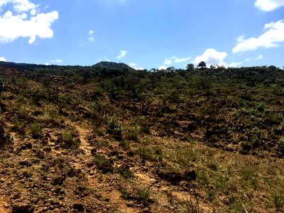 Scenic 11 Acres Ewuaso Kedong - Image 4