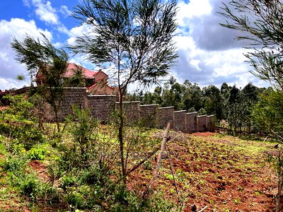 Prime Residential Plot for Sale in Kikuyu , Kamangu. - Image 8