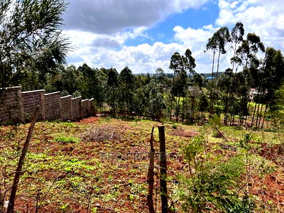 Prime Residential Plot for Sale in Kikuyu , Kamangu. - Image 11