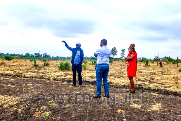Juja Farm Plots for Sale- 300m From the Main Road