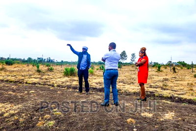 Juja Farm Plots for Sale- 300m From the Main Road - Image 2