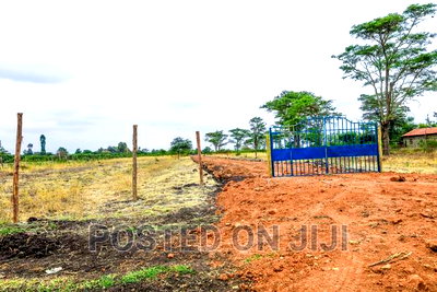 Juja Farm Plots for Sale- 300m From the Main Road - Image 4