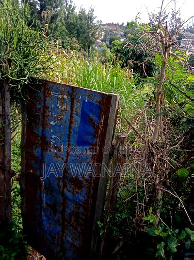 1/4 Arca Piece of Land for Sale - Image 7