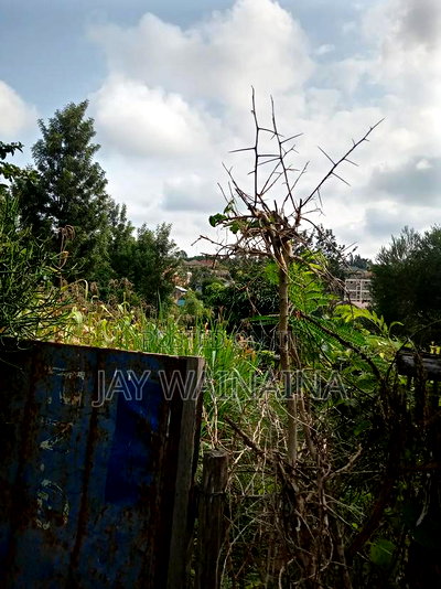 1/4 Arca Piece of Land for Sale - Image 3