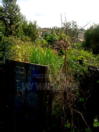 1/4 Arca Piece of Land for Sale - Image 2