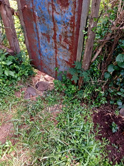 1/4 Arca Piece of Land for Sale - Image 4