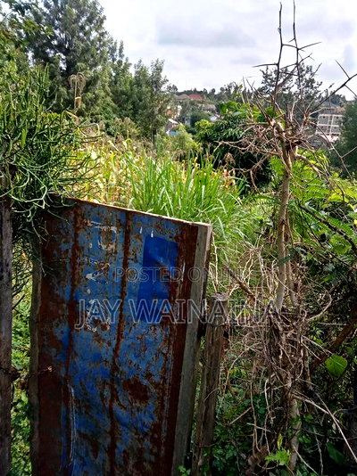 1/4 Arca Piece of Land for Sale - Image 5