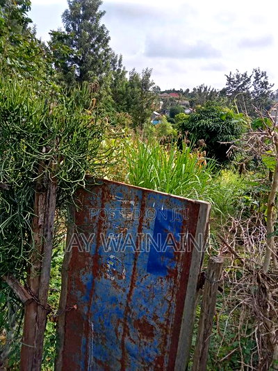 1/4 Arca Piece of Land for Sale - Image 1