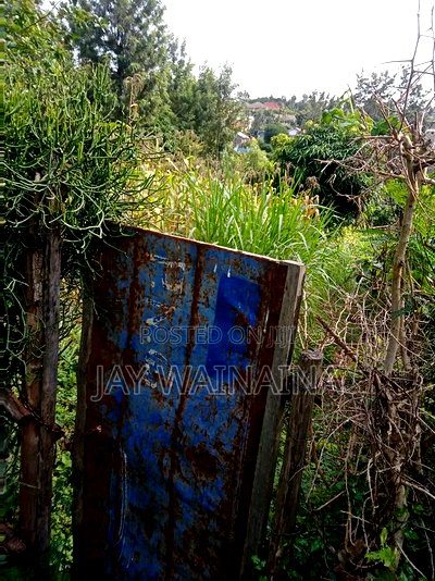 1/4 Arca Piece of Land for Sale - Image 6