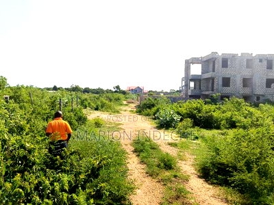 2nd Row Beach 1/8th Acre for Sale in Kilifi Bofa - Image 4