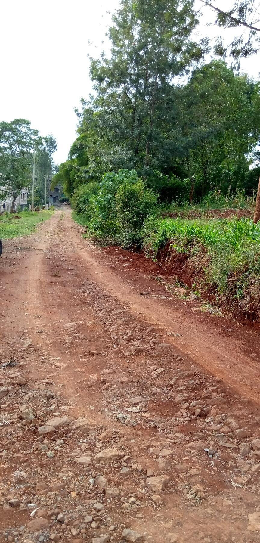 Pet Friendly Quarter Acre in Ndumbuini