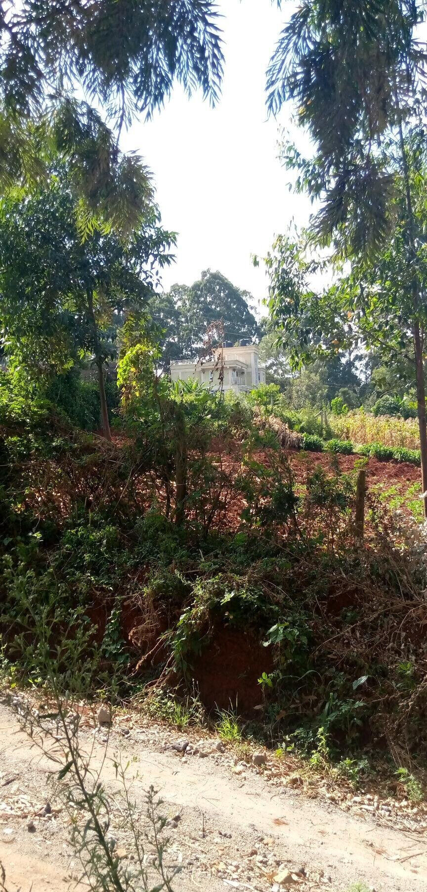 Pet Friendly Quarter Acre in Ndumbuini