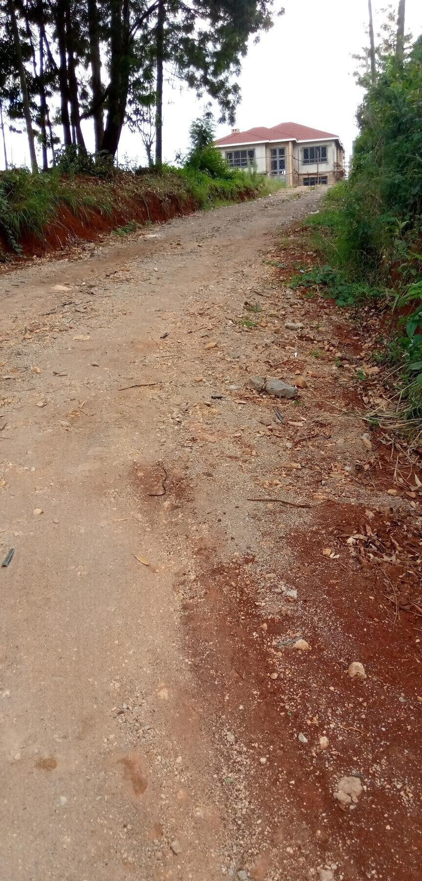 Pet Friendly Quarter Acre in Ndumbuini