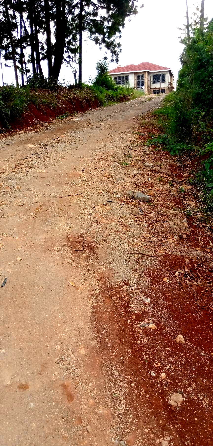 Pet Friendly Quarter Acre in Ndumbuini