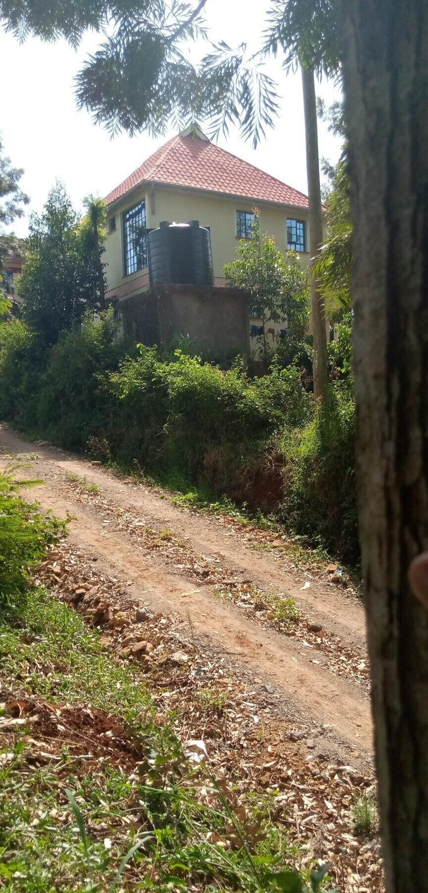 Pet Friendly Quarter Acre in Ndumbuini