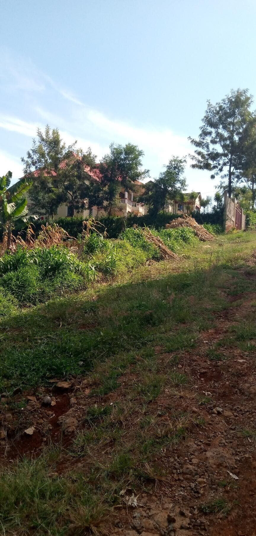 Pet Friendly Quarter Acre in Ndumbuini