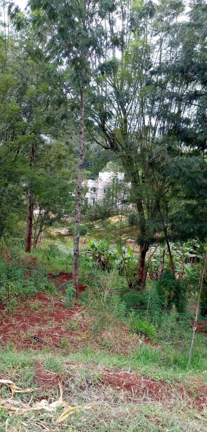 Pet Friendly Quarter Acre in Ndumbuini