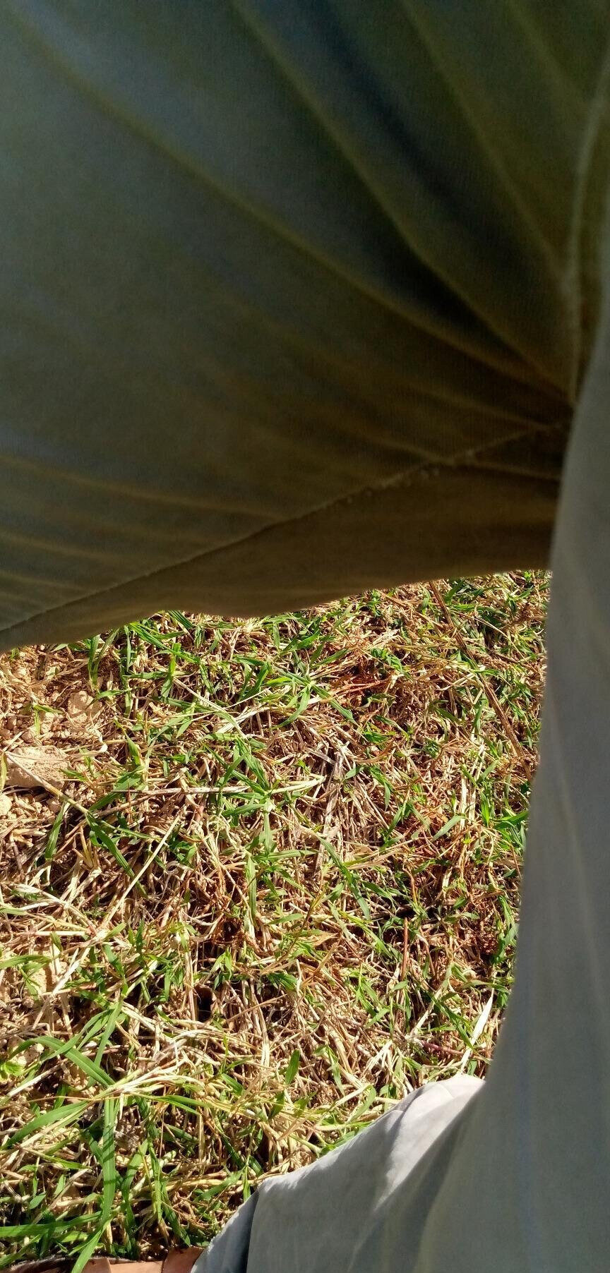 Pet Friendly Quarter Acre in Ndumbuini