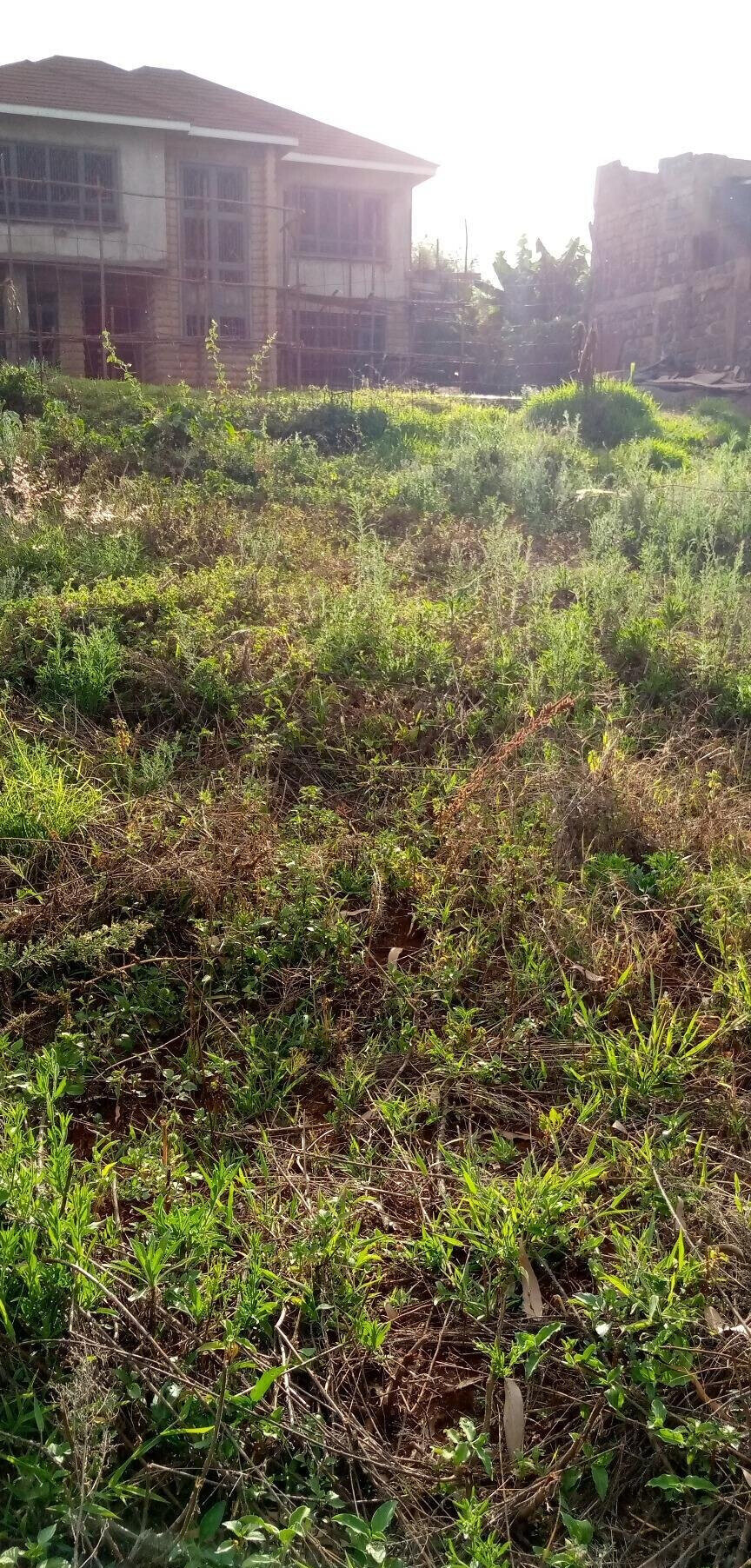 Pet Friendly Quarter Acre in Ndumbuini