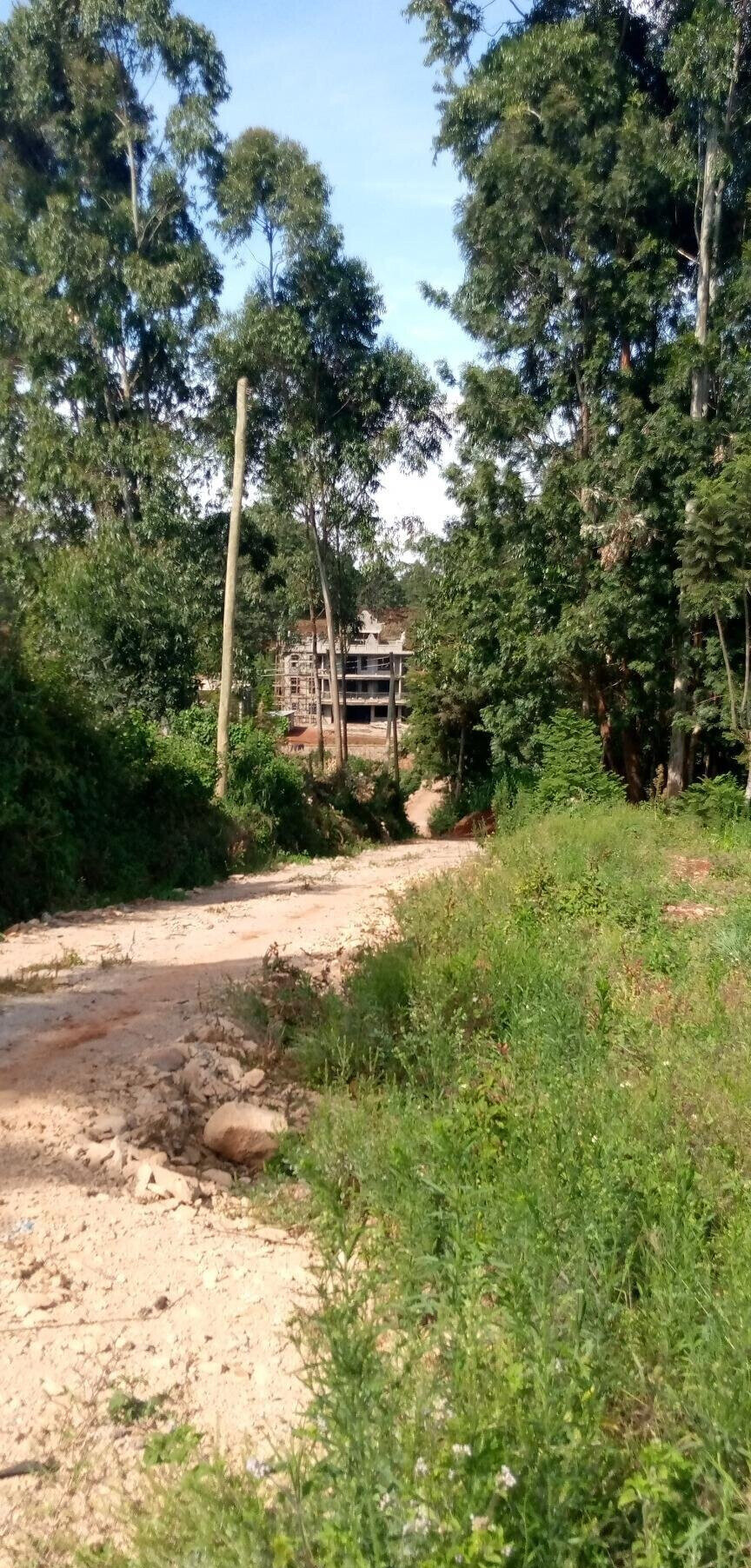 Pet Friendly Quarter Acre in Ndumbuini