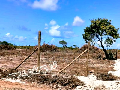Tezo Kokoto Plots for Sale Kilifi - Image 2