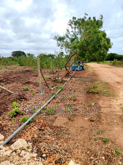 Tezo Kokoto Plots for Sale Kilifi - Image 1