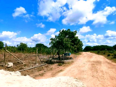 Tezo Kokoto Plots for Sale Kilifi - Image 4