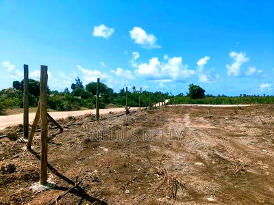 Tezo Kokoto Plots for Sale Kilifi - Image 3