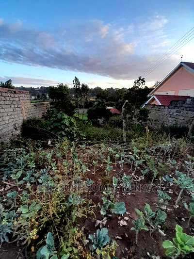 50 by 100 Prime Residential Plot - Image 1