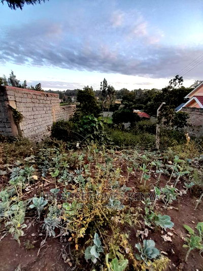 50 by 100 Prime Residential Plot - Image 3