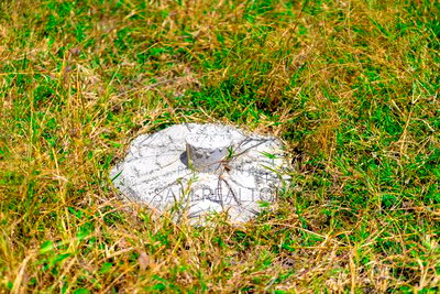 Malindi Plots For Sale - Image 1