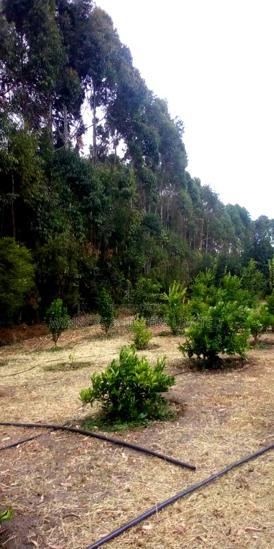 Land for Sale in Narumoro - Image 5