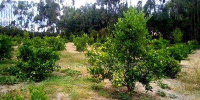 Land for Sale in Narumoro - Image 3