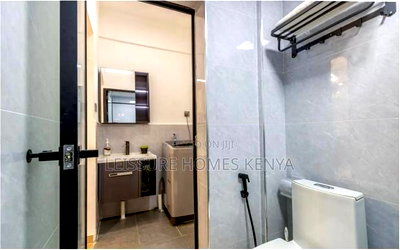 Furnished 1bdrm Apartment in Raphta Road Area for rent - Image 19