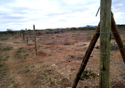 50x100 Plot with Garden Near Matuu Town