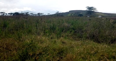 1 Acre Farm in Mirera for KSh 1.5M