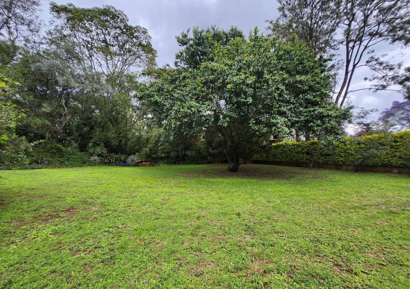 Jacaranda-Lined Drive Townhouse with 5 Ensuites – Hardy, Karen