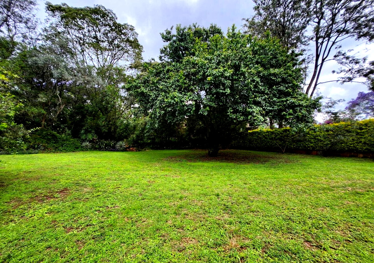 Jacaranda-Lined Drive Townhouse with 5 Ensuites – Hardy, Karen