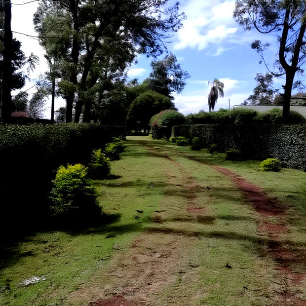 3bdrm Bungalow in Rironi, Tigoni for Rent
