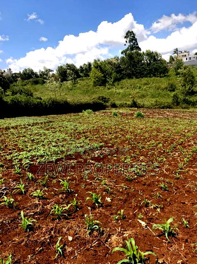 Half Acre Upper Matasia - Image 4